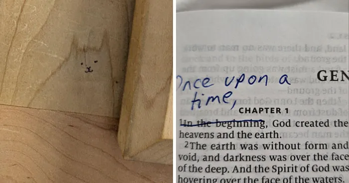 50 Pics Of Mild Vandalism That People Cheered For In This Dedicated Online Group (New Pics)