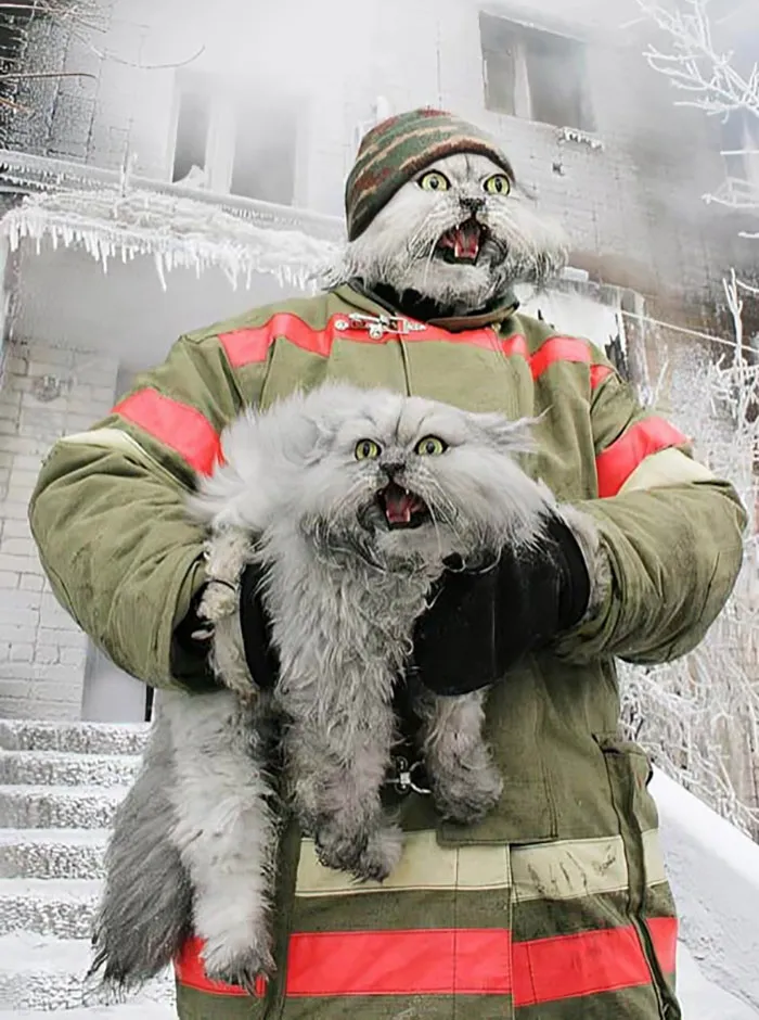Firefighter Saving A Cat