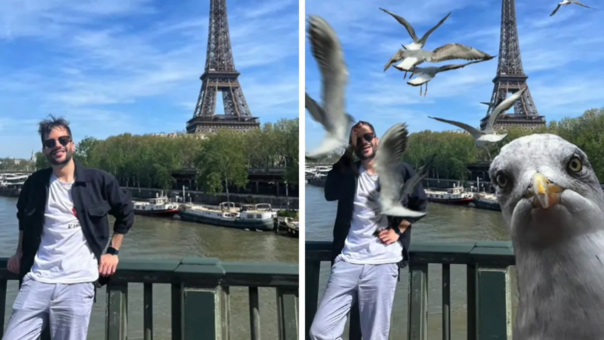 “Bro, Just Give Them What They Want”: 50 Hilarious Photo Edits By A Trolling Photoshopper