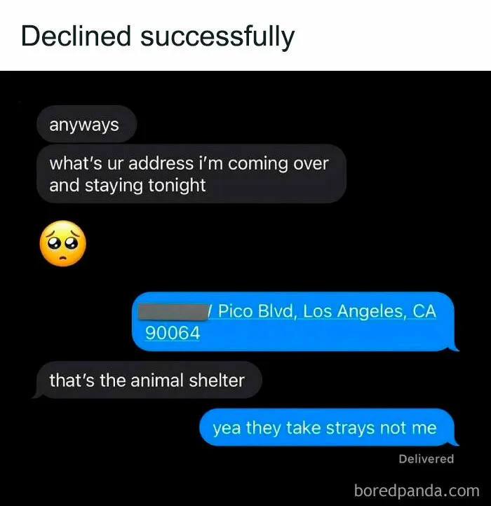 50 Hilariously Random Memes About Anything And Everything (New Pics)
