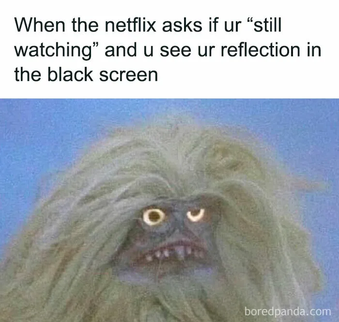 45 Funny Memes That Are So Accurate, It’s Honestly Offensive