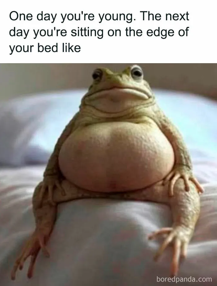 45 Funny Memes That Are So Accurate, It’s Honestly Offensive