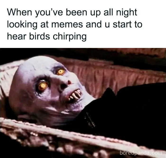 45 Funny Memes That Are So Accurate, It’s Honestly Offensive