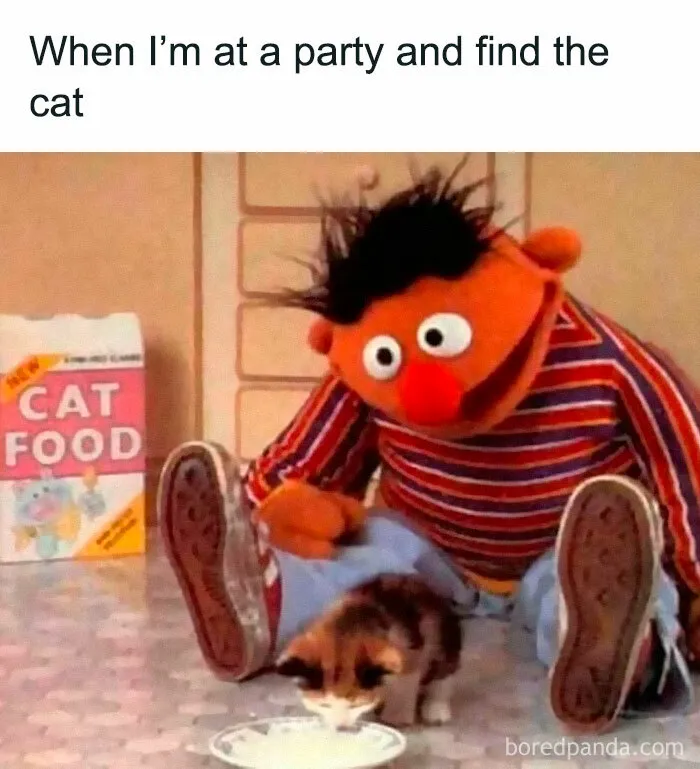 45 Funny Memes That Are So Accurate, It’s Honestly Offensive