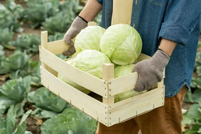 39 Cooking Opinions Folks Know Are Weird But Consider Them A Hill To Die On, As Shared Online