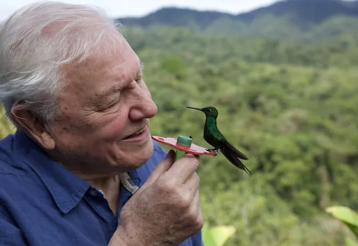 Sir David Attenborough