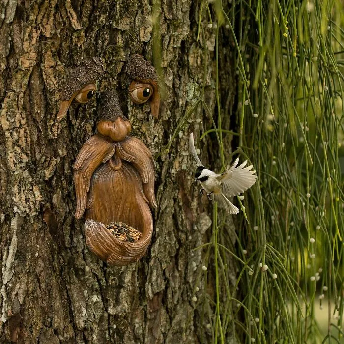 That Slightly Boring Maple In Your Yard Is About To Get A Major Personality Upgrade, And Possibly Start Giving Unsolicited Life Advice, Thanks To This <a Style="Display:inline;" Href="Https://Www.etsy.com/Listing/1409877706/Tree-Faces-Garden-Decor-Tree-Hugger-Bird?source=aw&utm_source=affiliate_window&utm_medium=affiliate&utm_campaign=us_location_buyer&utm_term=3657&utm_content=304459&sv1=affiliate&sv_campaign_id=304459&awc=6220_1746424977_5e55d908d0b88cdbd0cb62e023f4a512" Target="_blank"><span Style="Font: Inherit; Color: #d74b1f;"> Tree Face Decor </Span>