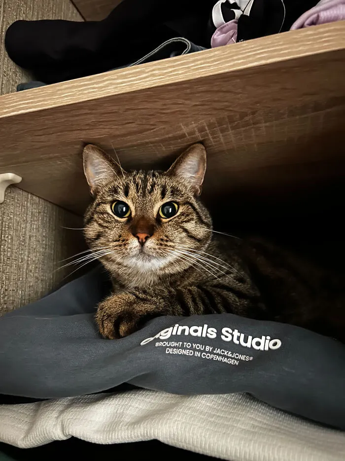She Likes To Sleep In The Closet