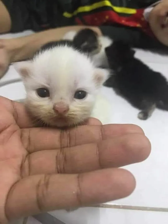 50 Animal Pics That Are Too Good Not To Share