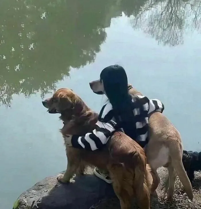 50 Animal Pics That Are Too Good Not To Share