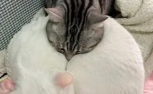 50 Animal Pics That Are Too Good Not To Share