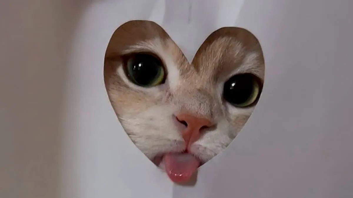 50 Animal Pics That Are Too Good Not To Share