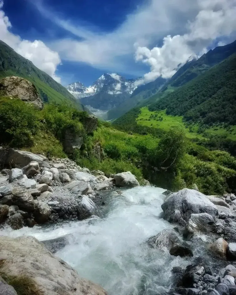 I Hiked Into India’s Valley Of Flowers National Park Expecting Pretty Views — But I Left Completely Changed (And Slightly Obsessed With Wildflowers)