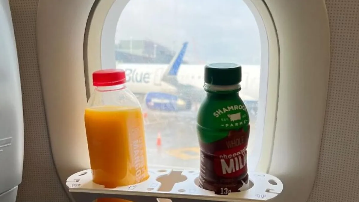 20 In-Flight Saviors That Whisper "You're Basically Flying Private" To Your Inner Diva