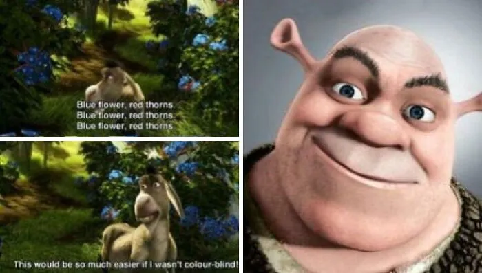 In Shrek (2001) Donkey Reveals That He Is Colour-Blind. This Explains Why Is He The Only One Not Affraid Of Shrek Since He Only Thinks Shrek Is Just A Normal Guy With Strange Ears