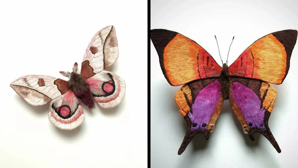 43 Incredible Hand-Sized Moths And Butterflies Made Out Of Fibers By Yumi Okita