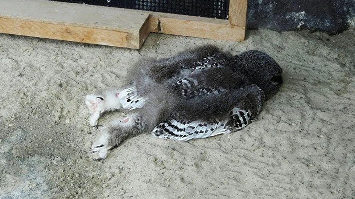 50 Interesting Pics To Make Your Day Better Or Teach You Something New