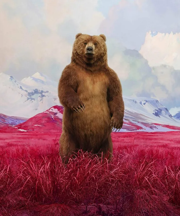 "Bear" From "Eremozoic", 2021