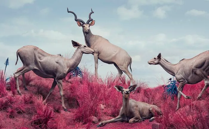 "Kudus" From "Eremozoic", 2021