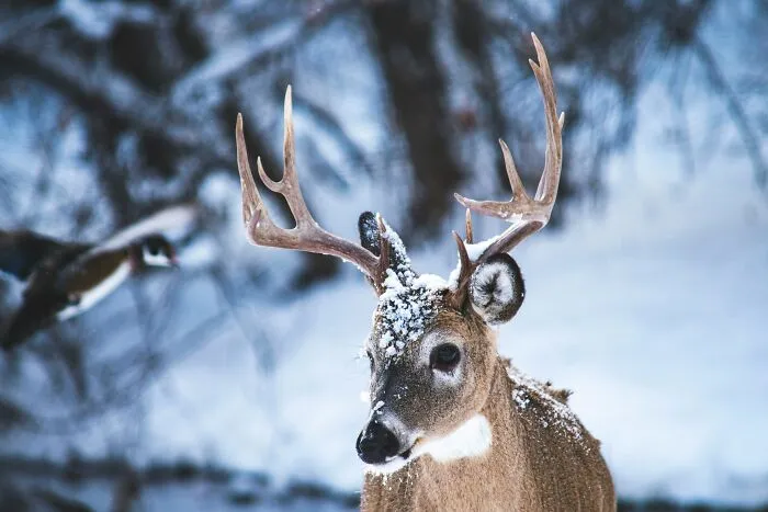 25 Of The Stupidest Things Many Intelligent People Still Believe, According To Peeps Online