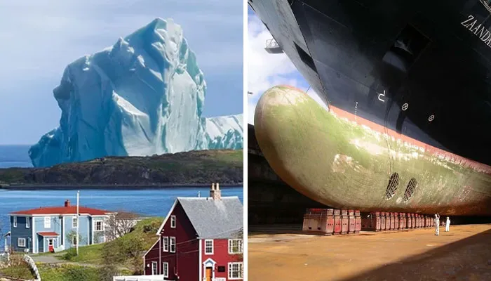 “Nope, I'm Outta Here”: 50 Terrifyingly Big Things That Make People Uncomfortable (New Pics)