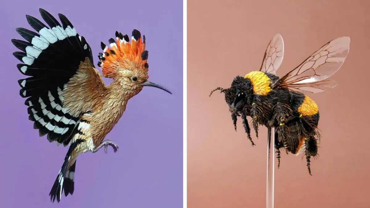 “I Cut Every Feather Out By Hand”: 31 Detailed Small Animal Sculptures By Zack Mclaughlin (New Pics)