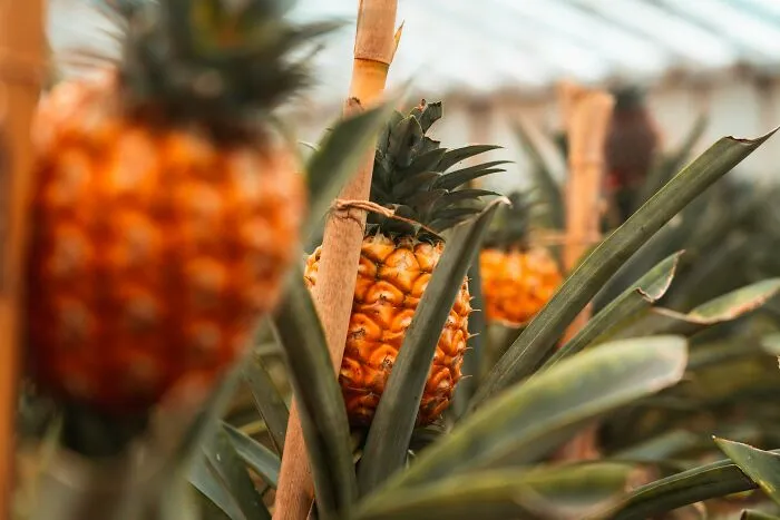 25 Of The Stupidest Things Many Intelligent People Still Believe, According To Peeps Online