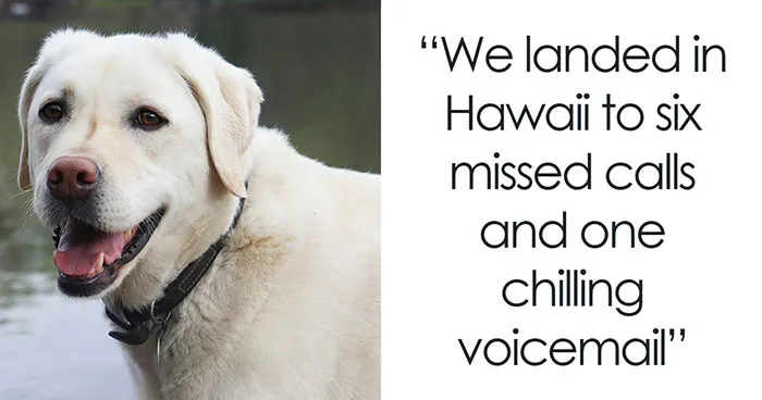Vacation Turns To Nightmare When MIL Rehomes Couple’s Dog, They Fight Back And Press Charges