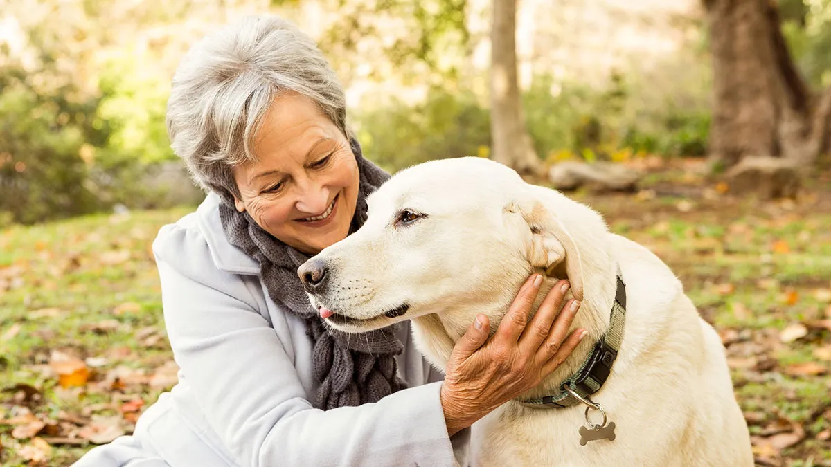 Vacation Turns To Nightmare When MIL Rehomes Couple’s Dog, They Fight Back And Press Charges