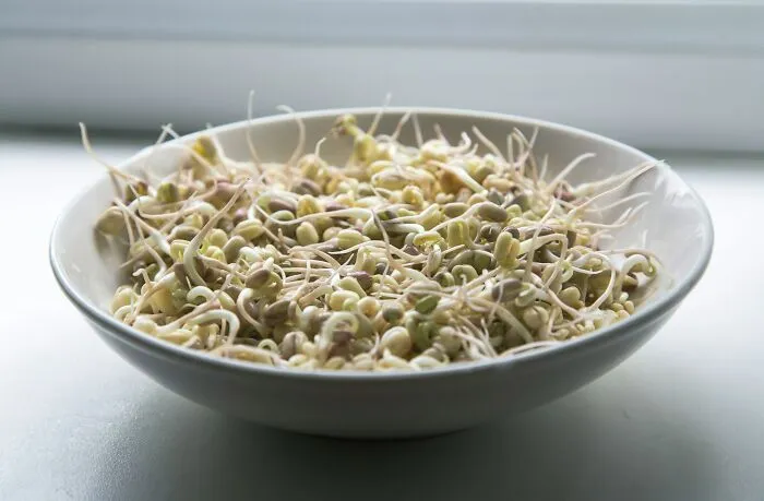 Sprouts