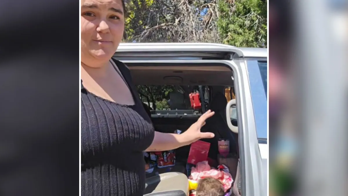 “Trigger Warning”: Mom Films Herself Cleaning Her Car, Receives Backlash