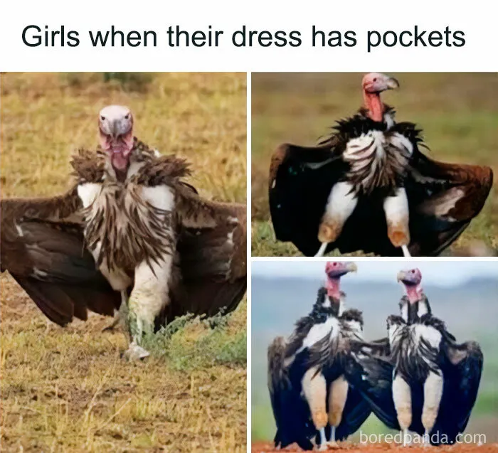 50 Hilarious Posts From A Page Dedicated To Mocking People And Things (New Pics)