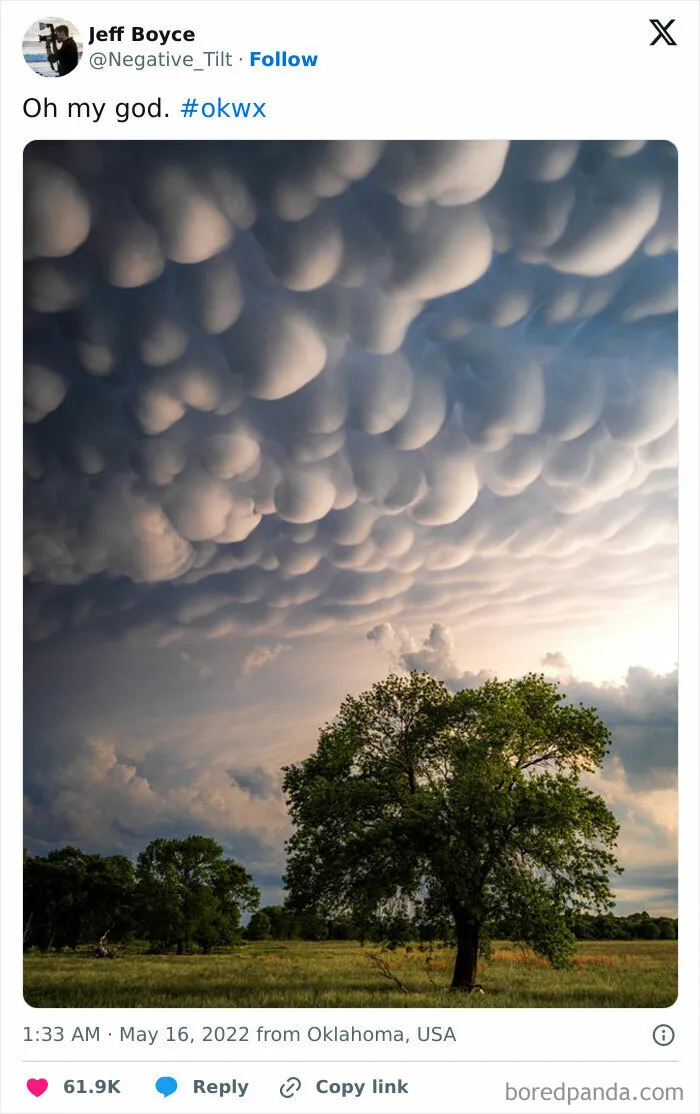 Mammatus Clouds