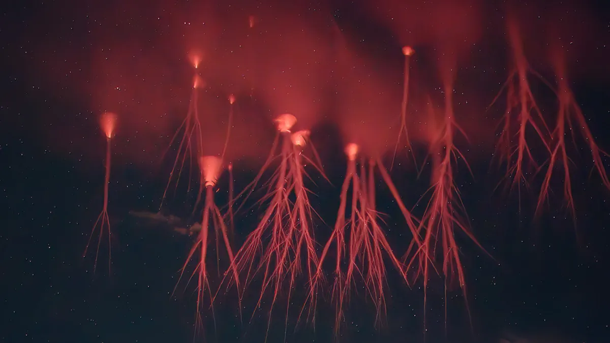 50 Pics Showing The Weird Natural Phenomena That Occur On Earth
