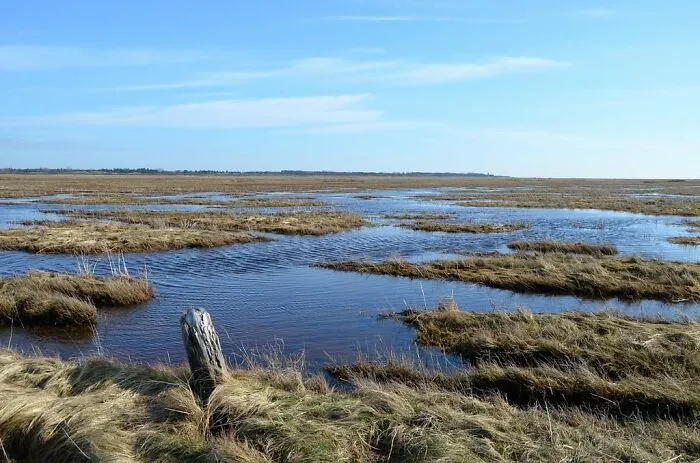 Wadden Sea, Denmark