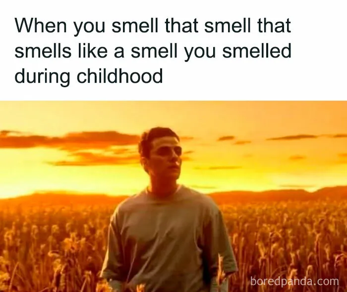 50 Funny Memes That May Make Millennials Feel Old, Bitter, And Weirdly Hungry For Pizza Rolls