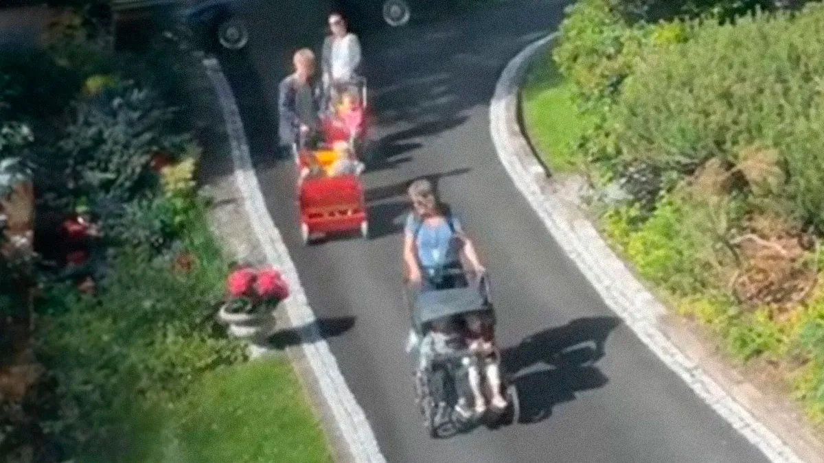 Woman Watches, Baffled, As A Group Of Strangers Just Start Having A Picnic In Her Yard