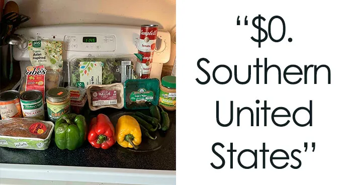 50 People Show How Much Groceries Cost Where They Live