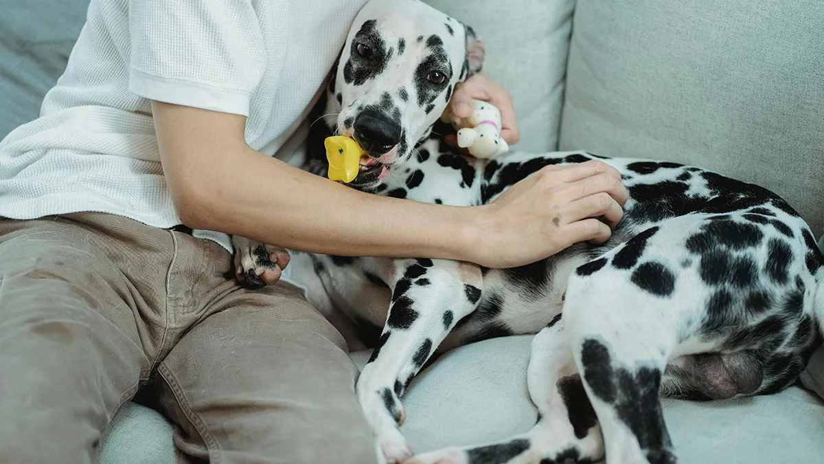 36 Life's Little Moments That Only Prove That Happiness Doesn't Have To Be Grand