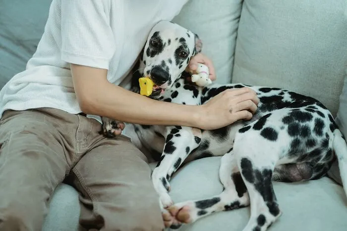 36 Life's Little Moments That Only Prove That Happiness Doesn't Have To Be Grand
