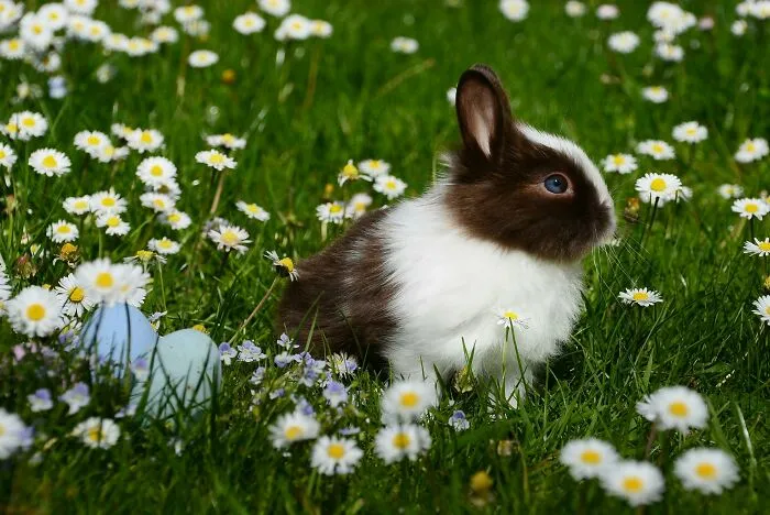 36 Life's Little Moments That Only Prove That Happiness Doesn't Have To Be Grand