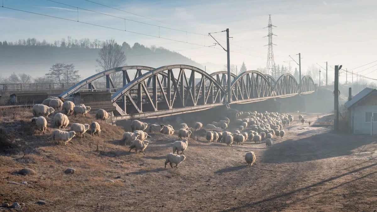 This Photographer Traveled Across Europe To Capture The Raw Beauty Of Ordinary Human Moments (20 Pics)