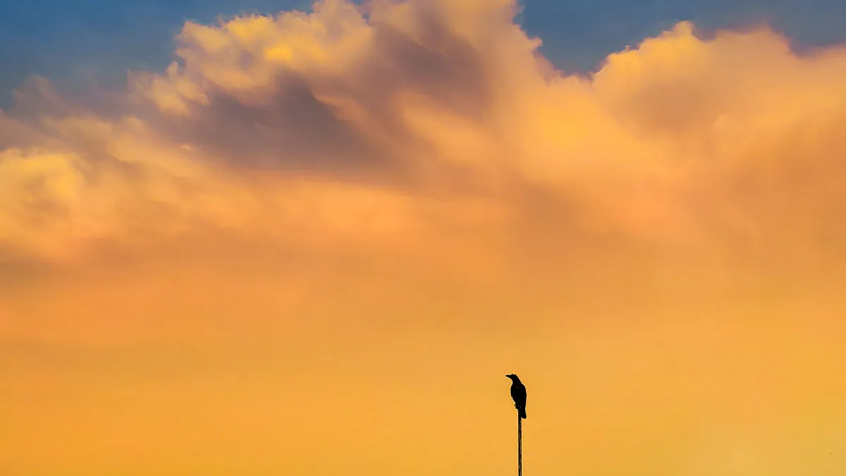 The Poetry Of The Ordinary: My 10 Photos Of Everyday Beauty