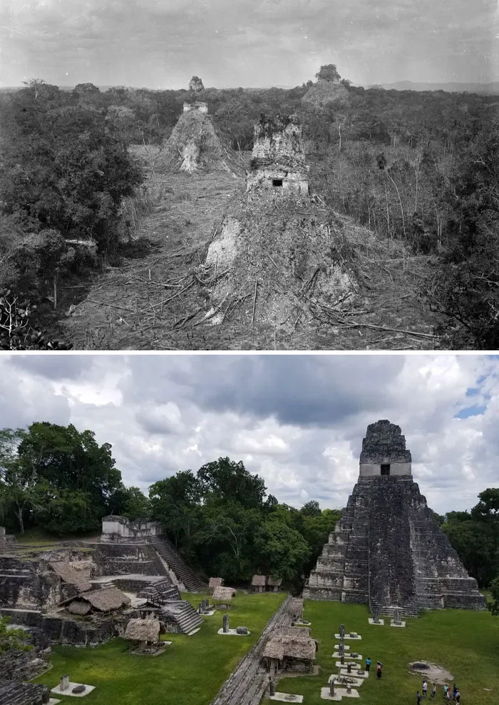 Las ruinas de Tikál, Guatemala. 1890 vs. 2023