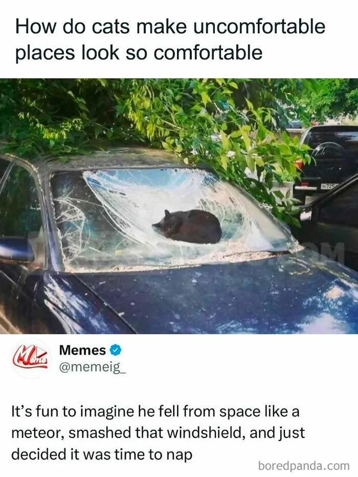 50 Memes That Hit Too Close To Home In The Funniest Way (New Pics)