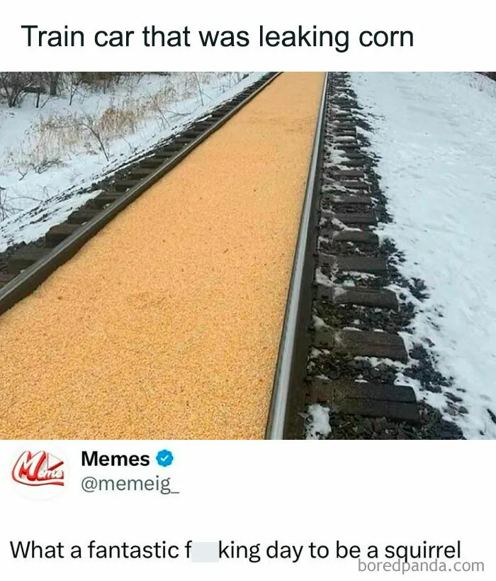 50 Memes That Hit Too Close To Home In The Funniest Way (New Pics)