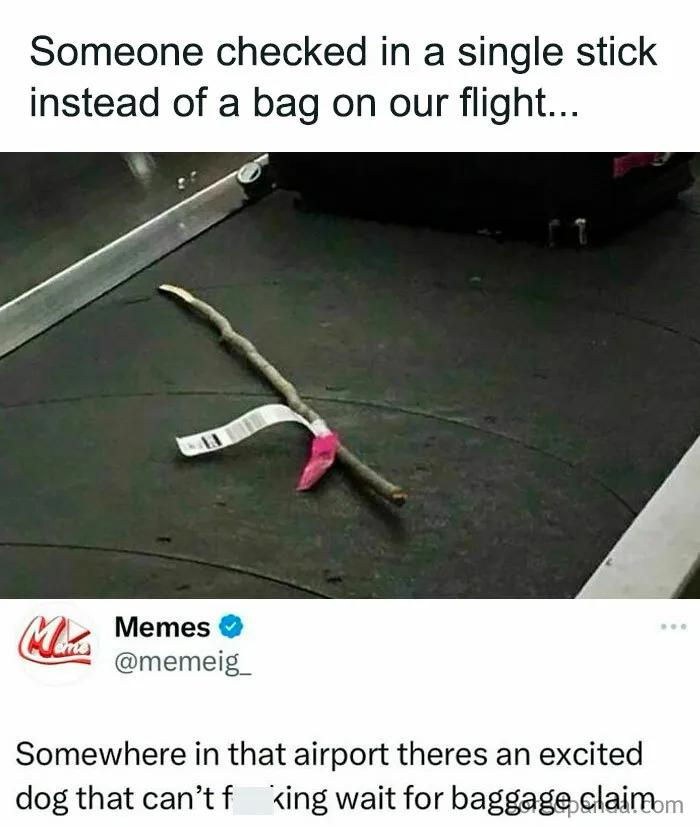 50 Memes That Hit Too Close To Home In The Funniest Way (New Pics)