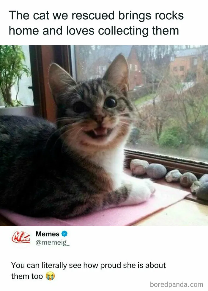 50 Memes That Hit Too Close To Home In The Funniest Way (New Pics)