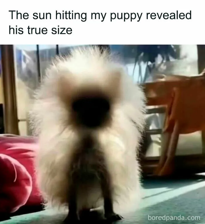 50 Memes That Hit Too Close To Home In The Funniest Way (New Pics)