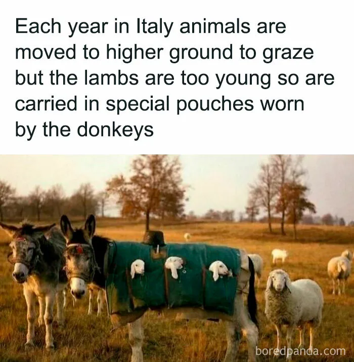 50 Memes That Hit Too Close To Home In The Funniest Way (New Pics)